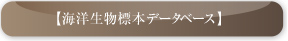 海洋生物標本データベース