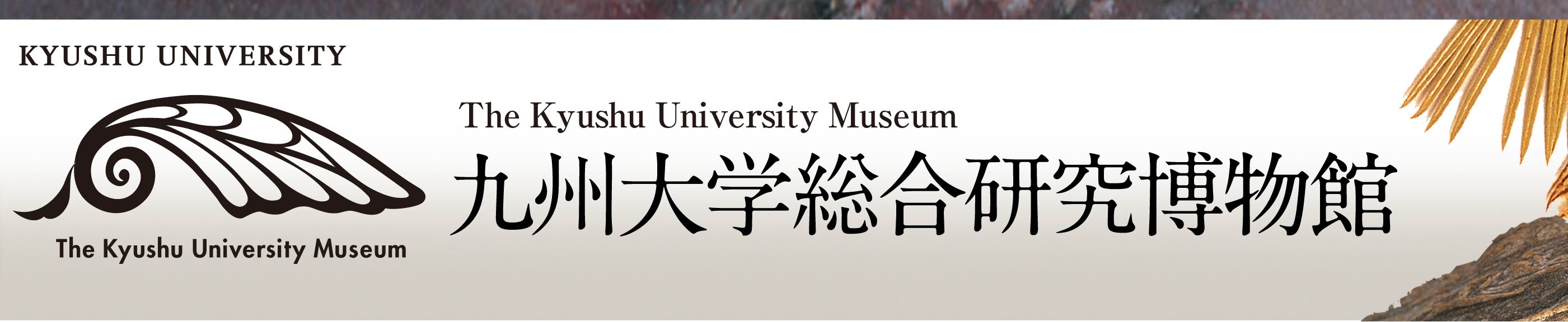 九州大学オンライン博物館