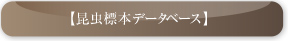 昆虫標本データベース