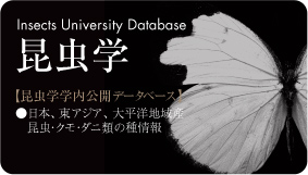 昆虫教室