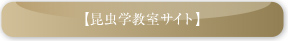 昆虫教室