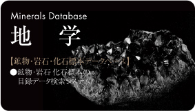 鉱物・岩石・化石標本データベース