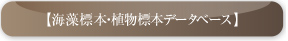 植物標本データベース