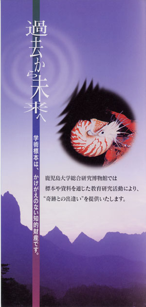 鹿児島大学総合研究博物館 